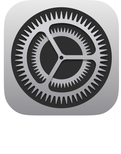 settings Icon